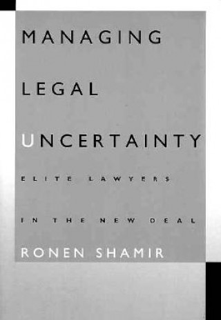 Kniha Managing Legal Uncertainty Ron Shamir