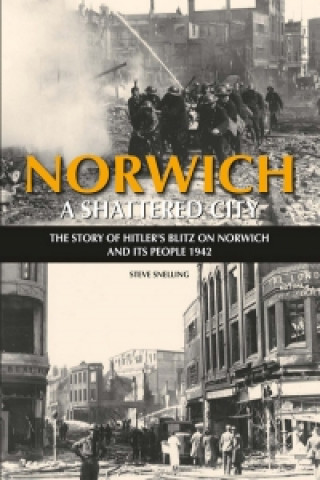 Kniha Norwich - A Shattered City Steve Stelling