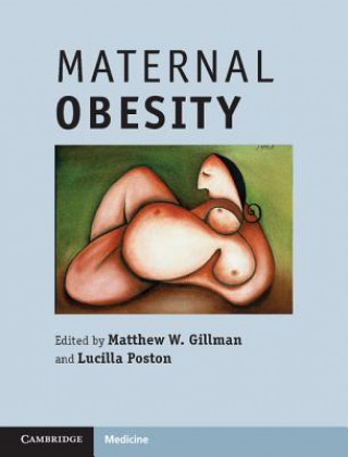 Knjiga Maternal Obesity Matthew W Gillman