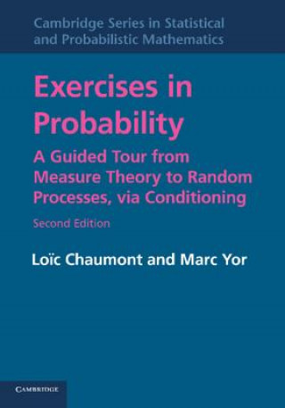 Buch Exercises in Probability Loic Chaumont