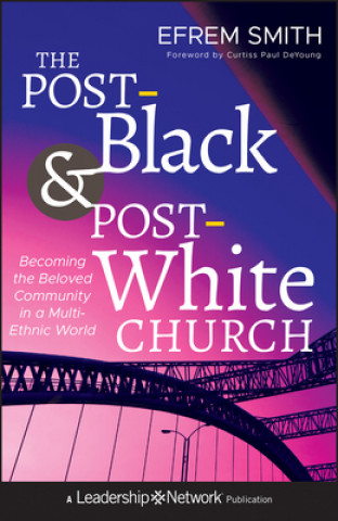 Buch Post-Black and Post-White Church Efrem Smith