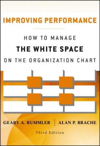 Carte Improving Performance 3e - How to Manage the White  Space on the Organization Chart Geary A Rummler