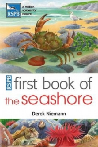 Książka RSPB First Book Of The Seashore Derek Niemann