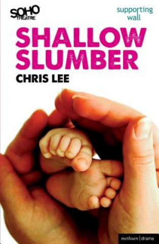 Könyv Shallow Slumber Chris Lee