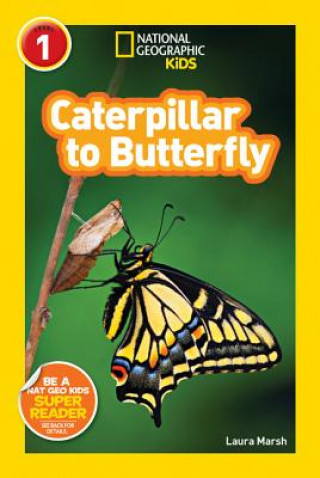 Книга National Geographic Kids Readers: Caterpillar to Butterfly Laura Marsh
