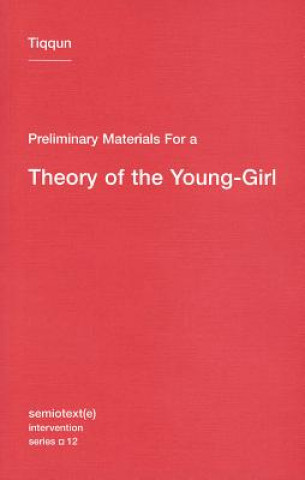 Könyv Preliminary Materials for a Theory of the Young-Girl Tiqqun