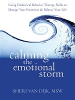 Carte Calming the Emotional Storm Sheri Van Dijk