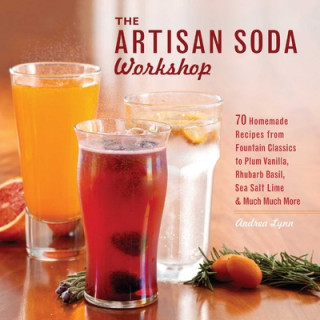 Książka Artisan Soda Workshop Andrea Lynn