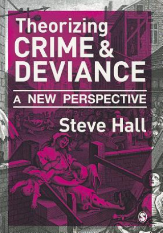 Libro Theorizing Crime and Deviance Steve Hall