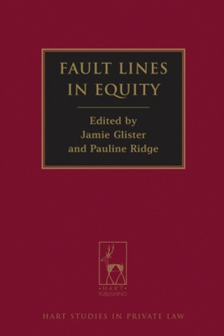 Buch Fault Lines in Equity James Glister