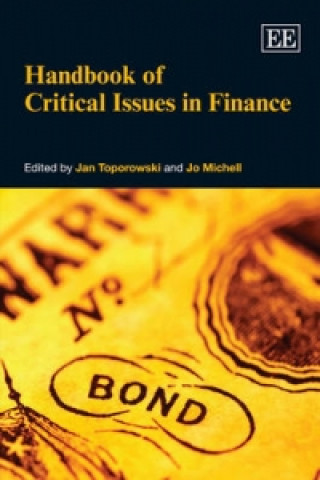 Buch Handbook of Critical Issues in Finance 