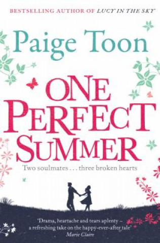 Kniha One Perfect Summer Paige Toon