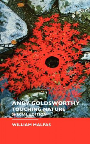 Knjiga Andy Goldsworthy William Malpas
