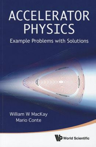 Könyv Accelerator Physics Mario Conte