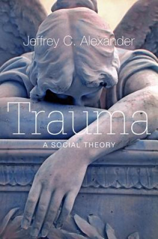 Buch Trauma - A Social Theory Jeffrey Alexander