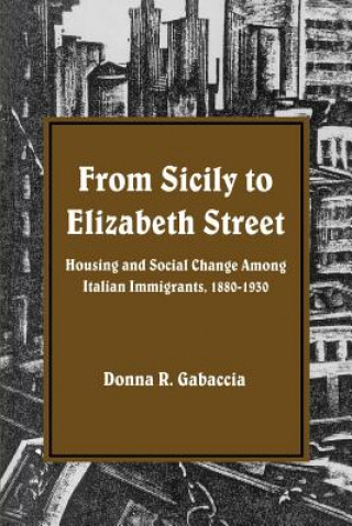 Książka From Sicily to Elizabeth Street Donna Gabaccia