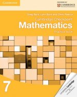 Könyv Cambridge Checkpoint Mathematics Practice Book 7 Greg Byrd