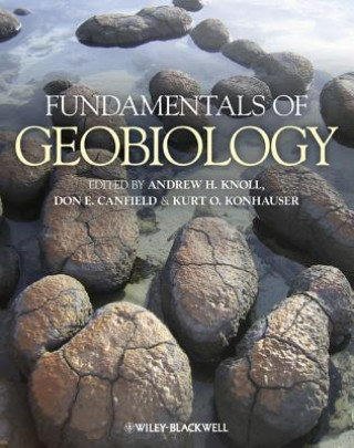 Książka Fundamentals of Geobiology Andrew H Knoll