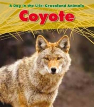Könyv Coyote Louise Spilsbury