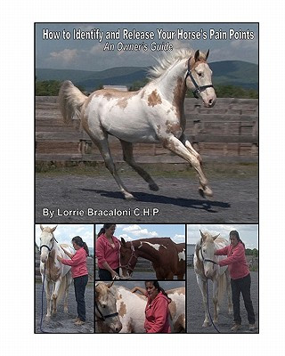 Book How to Identify and Release Your Horse's Pain Points Lorrie Bracaloni C H P