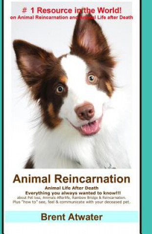 Kniha Animal Reincarnation Brent Atwater