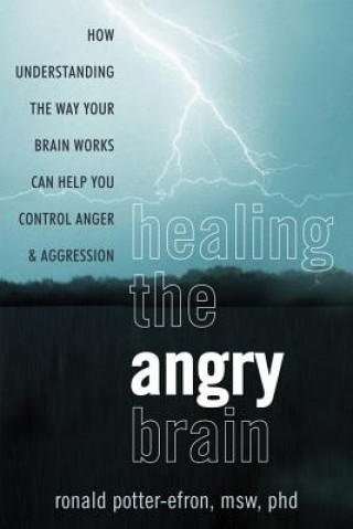 Könyv Healing the Angry Brain Ronald Potter Efron