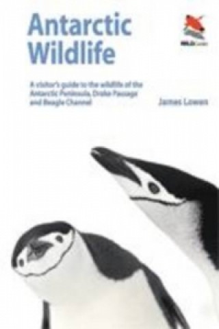 Kniha Antarctic Wildlife - A Visitor`s Guide James Lowen