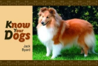 Książka Know Your Dogs Jack Byard