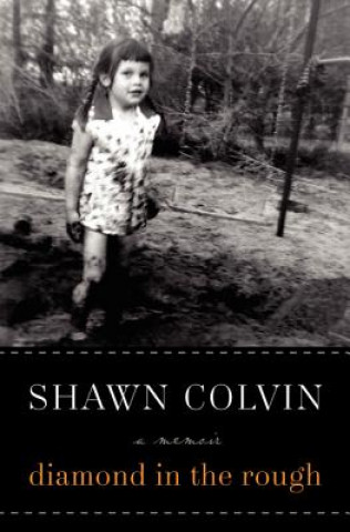 Book Few Small Repairs Shawn Colvin