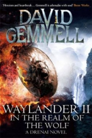Книга Waylander II David Gemmell