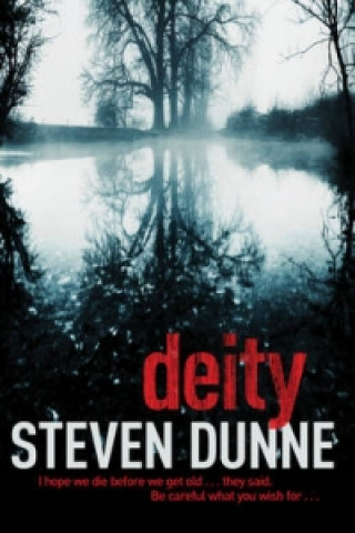 Buch Deity (DI Damen Brook 3) Steven Dunne