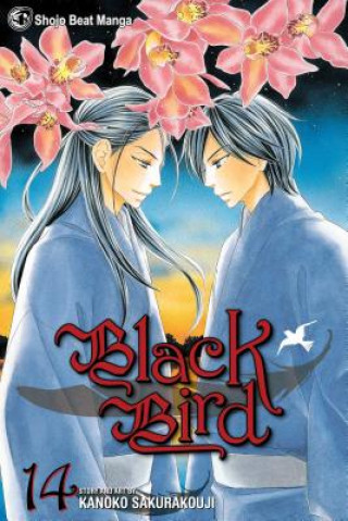 Книга Black Bird, Vol. 14 Kanoko Sakurakoji