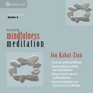 Audio Guided Mindfulness Meditation Series 3 Jon Kabat Zinn
