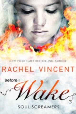 Book Before I Wake Rachel Vincent