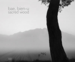 Könyv Sacred Wood Bae Bien-U