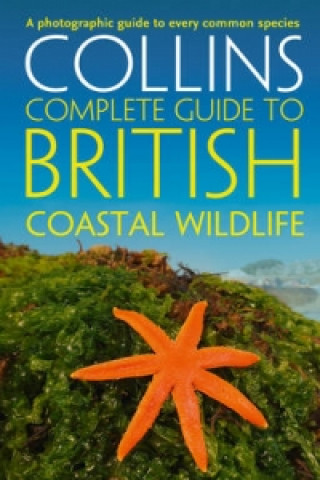 Könyv British Coastal Wildlife Paul Sterry