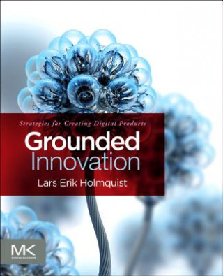 Buch Grounded Innovation Lars Erik Holmquist