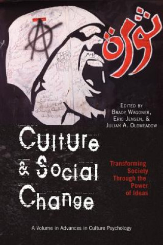 Kniha Culture and Social Change Brady Wagoner