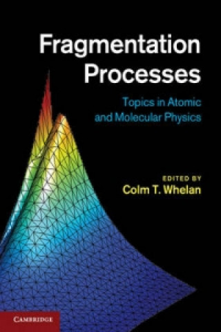 Knjiga Fragmentation Processes Colm T Whelan