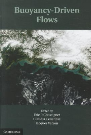 Книга Buoyancy-Driven Flows Eric Chassignet