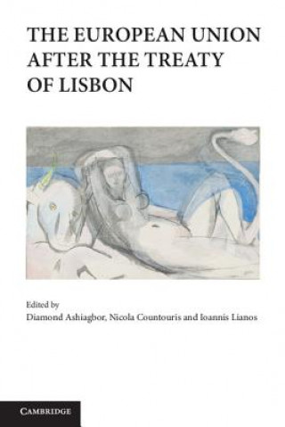 Livre European Union after the Treaty of Lisbon Diamond Ashiagbor