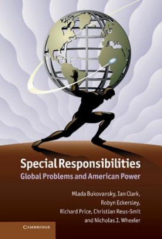 Book Special Responsibilities Mlada Bukovansky