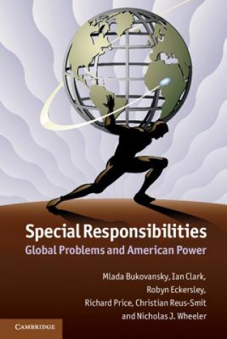 Book Special Responsibilities Mlada Bukovansky