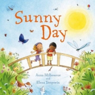 Kniha Sunny Day Anna Milbourne