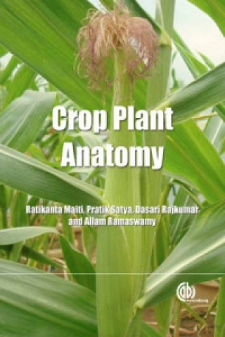 Kniha Crop Plant Anatomy R B Maiti