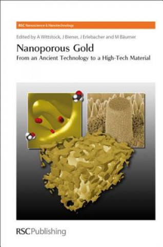 Knjiga Nanoporous Gold Arne Wittstock