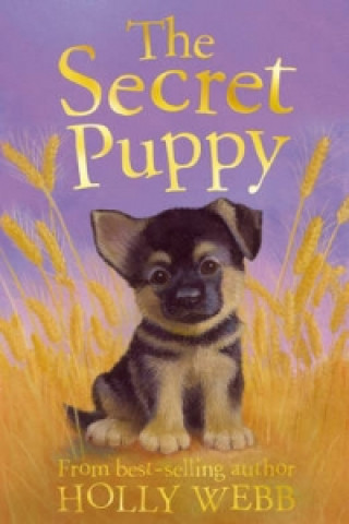 Carte Secret Puppy Holly Webb