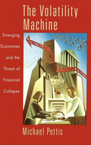 Buch Volatility Machine Michael Pettis