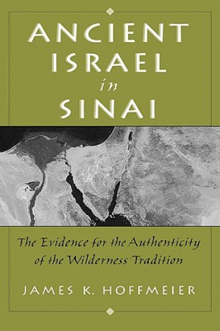Kniha Ancient Israel in Sinai James K. Hoffmeier