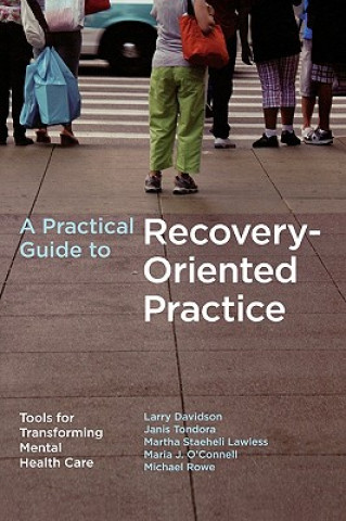 Kniha Practical Guide to Recovery-Oriented Practice Davidson